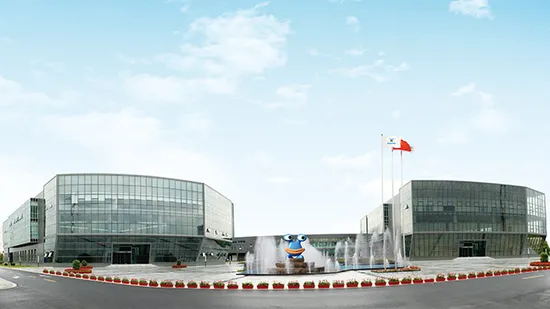 Enterococcus Faecalis Probiotic Powder Strain