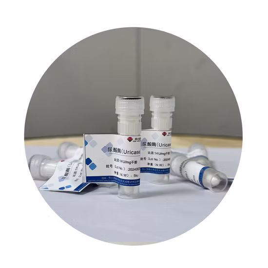Uricase Uao High Quality Enzyme Preparations Ice Pack Transportation