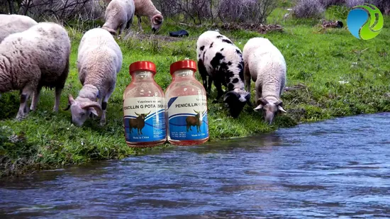 Oxytetracycline Powder for Injection 1g, Certified GMP, Chinese Factory