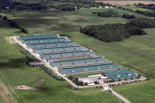 Hubei Probiotics Co.,Ltd