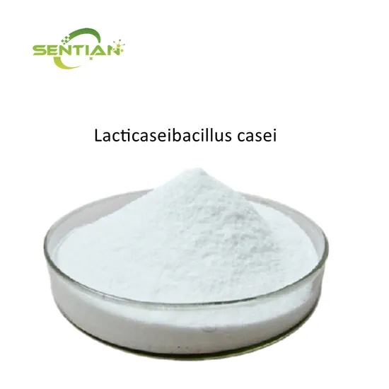 Food Grade Lactobacillus Casei Probiotic Powder Lacticaseibacillus Casei 