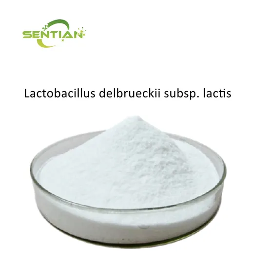 High Quality Probiotic Powder Lactobacillus Delbrueckii Subsp. Lactis for Gut Health 