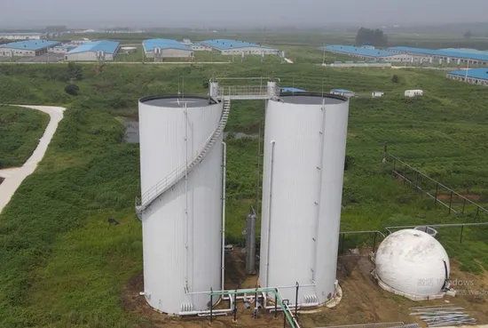 Carbon Steel Anticorrosive Sewage Treatment Equipment for Treating Enzyme Preparation Wastewater 