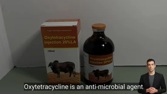 Affordable Streptomycin Sulphate Injection Powder for Global Distribution 