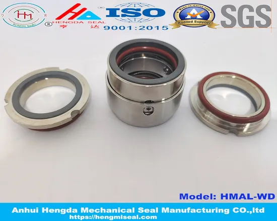 AES W03du Seals Ssp5 Ssp6 Sealing Mechanical Seal for Water Pumps with Shaft Size 45mm 55mm 75mm 