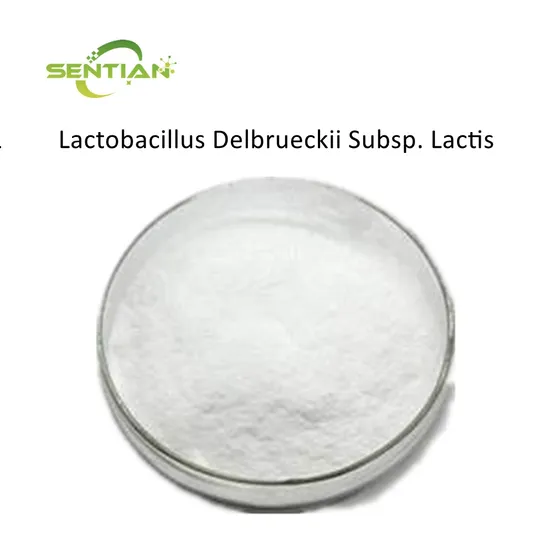 High Quality Lactobacillus Delbrueckii Subsp. Lactis Powder 