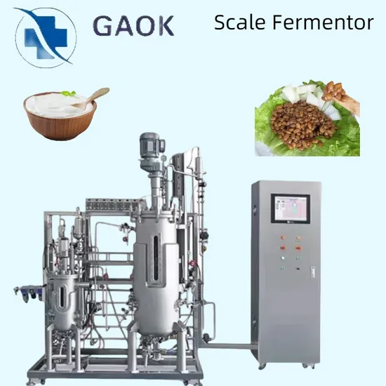 Pharmaceutical Bioreactor Fermenter Bioreactor for Enzyme Preparation 